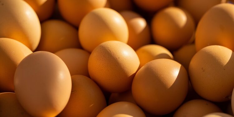 Explore Outdoor Fitness Activities for Weight Loss: A Guide to Transform Your Body and Mind