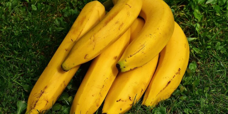 Total Body Fitness for Weight Loss: A Comprehensive Guide to Transform Your Health