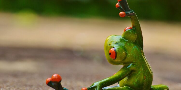 Transform Your Body: Embracing a Fitness Lifestyle for Sustainable Weight Loss