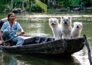 Revolutionize Your Health: Tips for a Long Term Weight Loss Lifestyle Plan