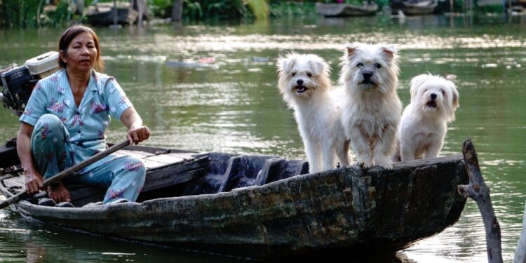 Revolutionize Your Health: Tips for a Long Term Weight Loss Lifestyle Plan