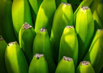 Unlocking the Secrets of Medical Weight Loss Guidance