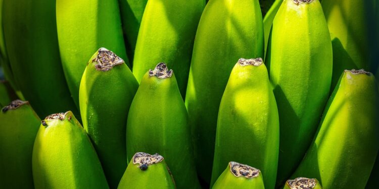 Unlocking the Secrets of Medical Weight Loss Guidance