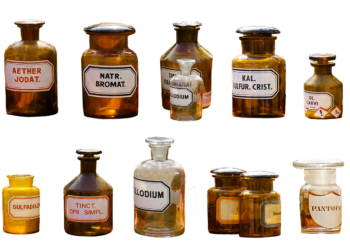 Unlocking the Connection: How Gut Health Influences Weight Loss