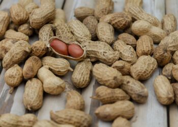 Ultimate Guide to Fitness for Weight Loss Beginners: Tips