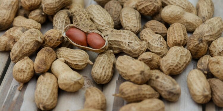 Ultimate Guide to Fitness for Weight Loss Beginners: Tips