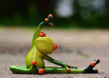 Unlock Your Potential: A Complete Fitness Program for Beginners