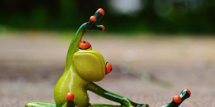 Unlock Your Potential: A Complete Fitness Program for Beginners