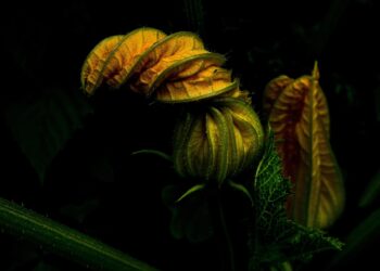 Unlocking the Benefits of Hydration for Effective Weight Loss