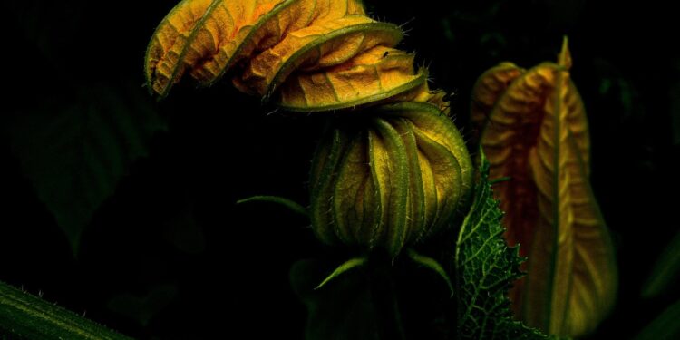 Unlocking the Benefits of Hydration for Effective Weight Loss