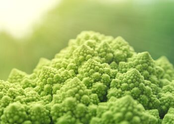 Unlock Weight Loss: Discover the Magic of High Protein Foods