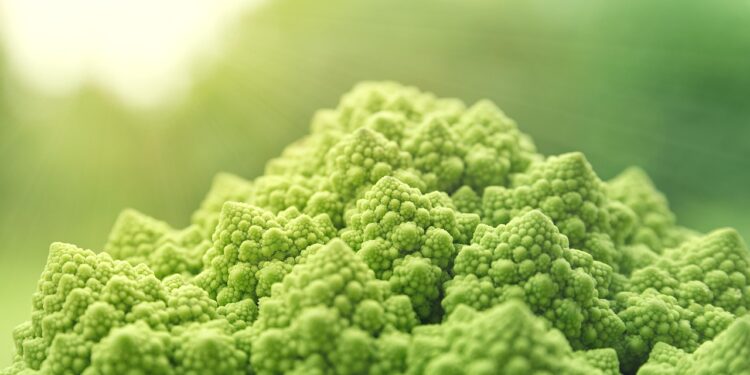 Unlock Weight Loss: Discover the Magic of High Protein Foods